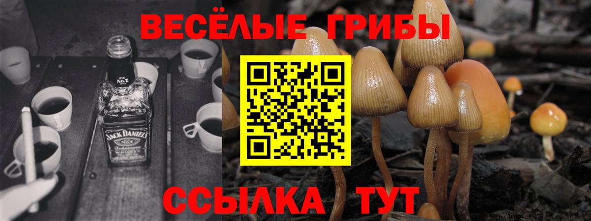Галлюциногенные грибы прущие грибы Белебей